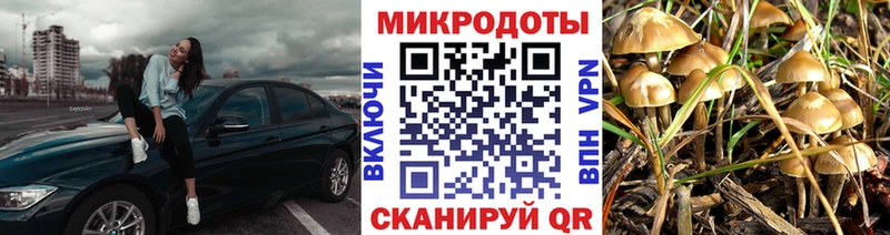 что такое Алапаевск Псилоцибиновые грибы GOLDEN TEACHER